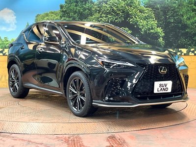 2022 Lexus NX 缩略图 16