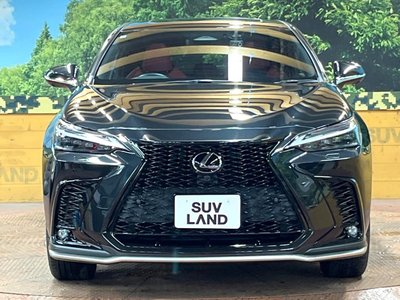2022 Lexus NX 缩略图 14
