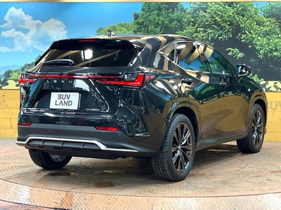 2022 Lexus NX 缩略图 17