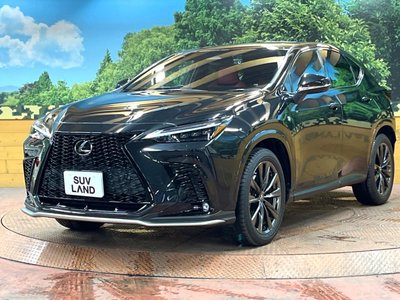2022 Lexus NX 缩略图 61
