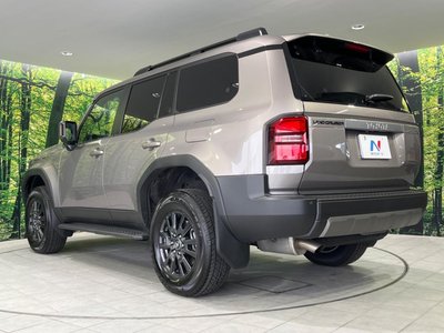 Thumbnail 29