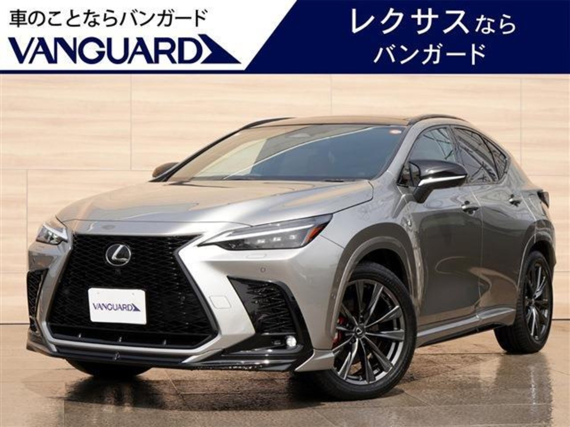 LEXUS NX - View 1
