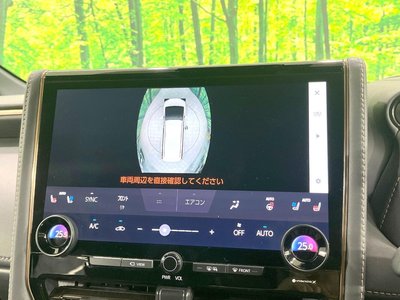 2024 TOYOTA ALPHARD 缩略图 57
