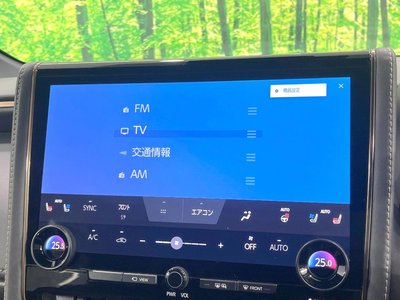 2024 TOYOTA ALPHARD 缩略图 53