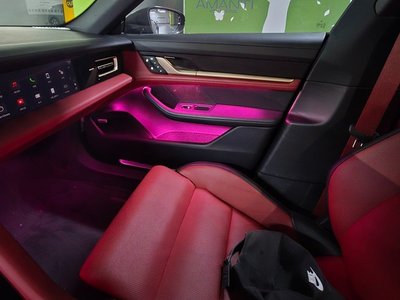 2025 Porsche TAYCAN photo 9