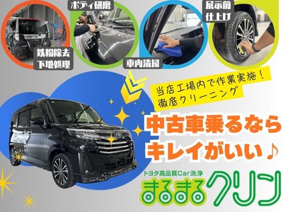 2025 Toyota ALPHARD thumbnail 11