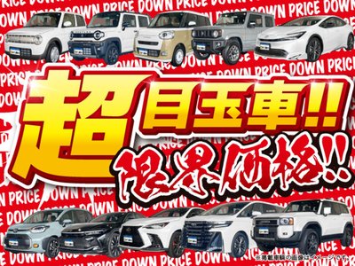 TOYOTA LAND CRUISER PRADO - 3