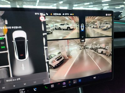 2025 Tesla MODEL Y 缩略图 12