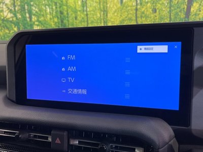 2025 Toyota LAND CRUISER 250 — миниатюра 64