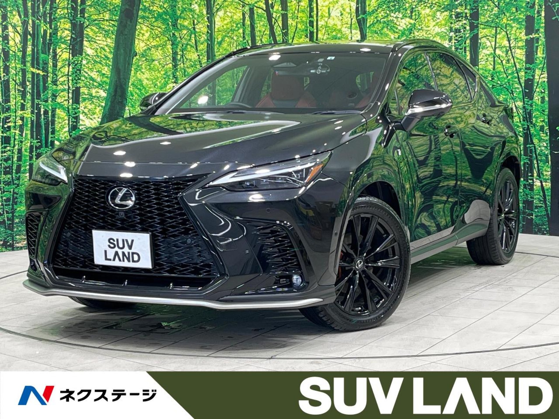 LEXUS NX - View 1