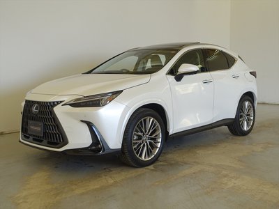 LEXUS NX - 1