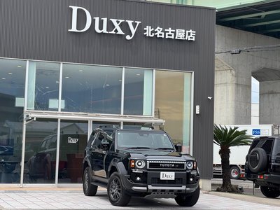 TOYOTA LAND CRUISER 250 - 9