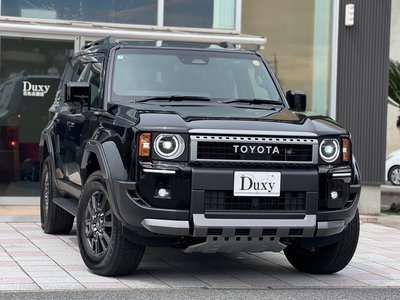 TOYOTA LAND CRUISER 250 - 6