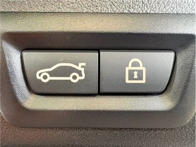 2020 BMW X5 缩略图 54