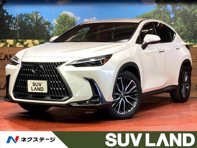 2023 Lexus NX 照片 1