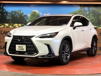 صورة مصغرة 30 لـ 2023 Lexus NX