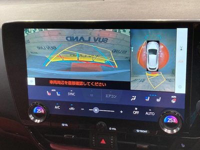 2023 Lexus NX 照片 4