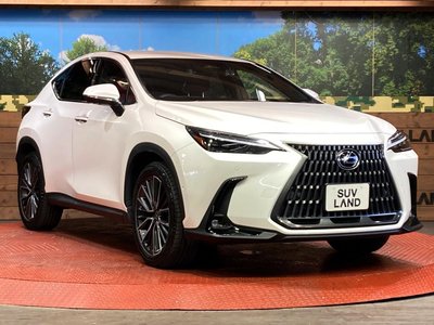 صورة مصغرة 16 لـ 2023 Lexus NX
