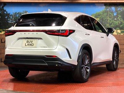 صورة مصغرة 17 لـ 2023 Lexus NX