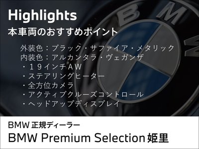 2026 BMW IX2 照片 2