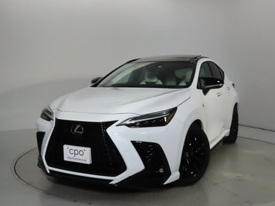 LEXUS NX - 6