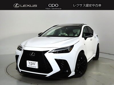 LEXUS NX - 1