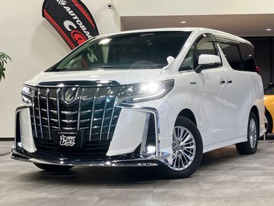 TOYOTA ALPHARD - 9