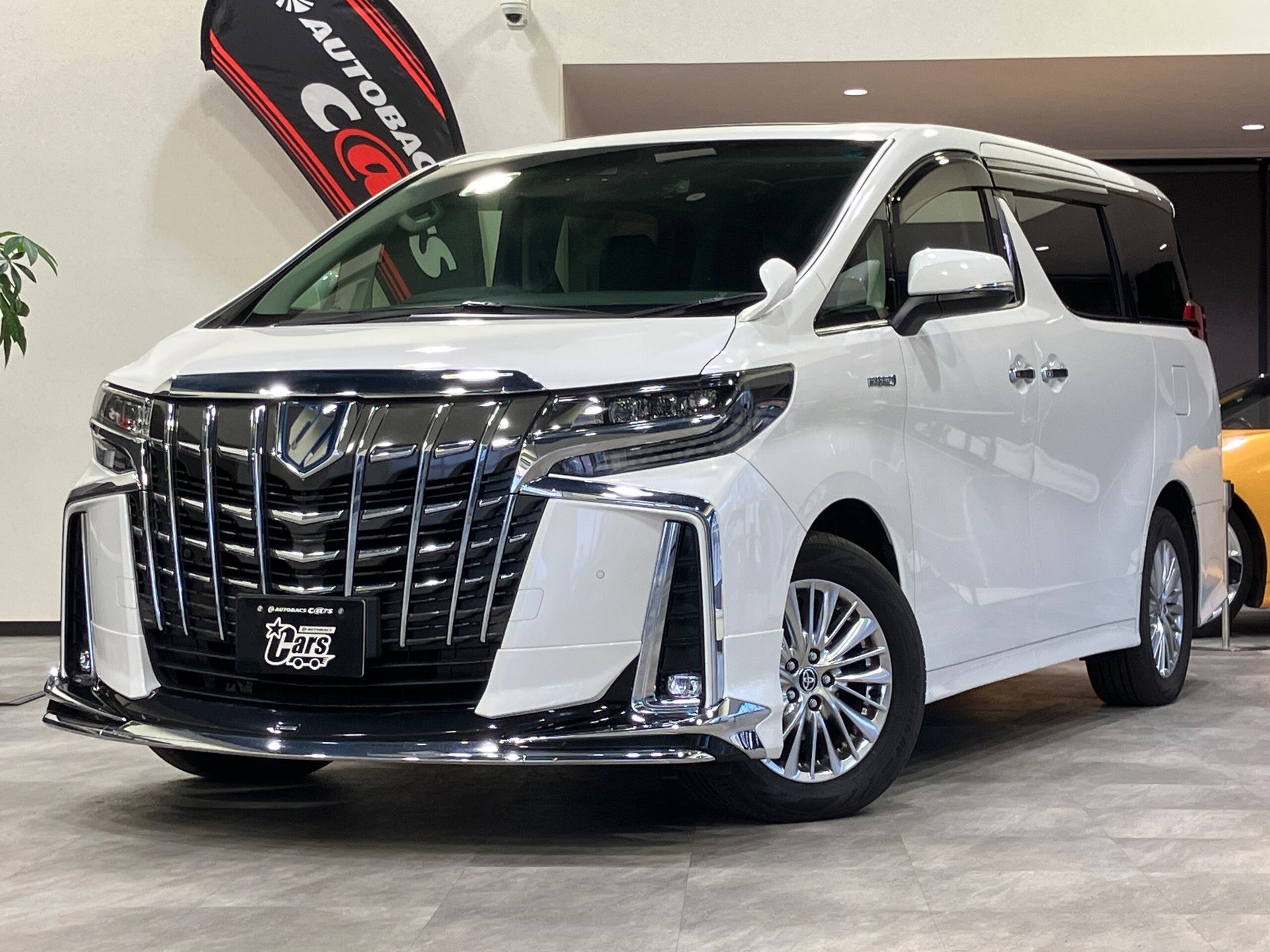 TOYOTA ALPHARD - View 1