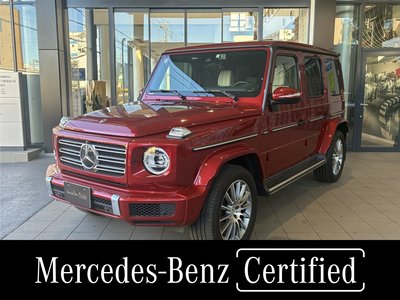 MERCEDES-BENZ G-CLASS - 1
