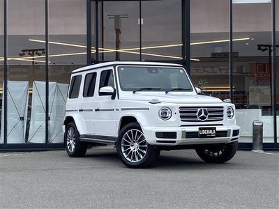MERCEDES-BENZ G-CLASS - 1
