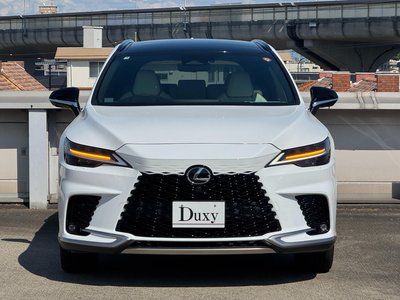 2025 Lexus RX — миниатюра 18