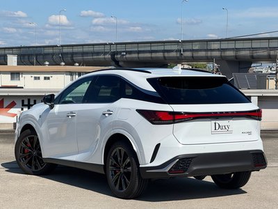 2025 Lexus RX — миниатюра 24