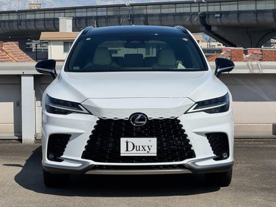 2025 Lexus RX — миниатюра 17