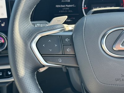 2025 Lexus RX — миниатюра 45