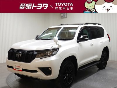TOYOTA LAND CRUISER PRADO - 1