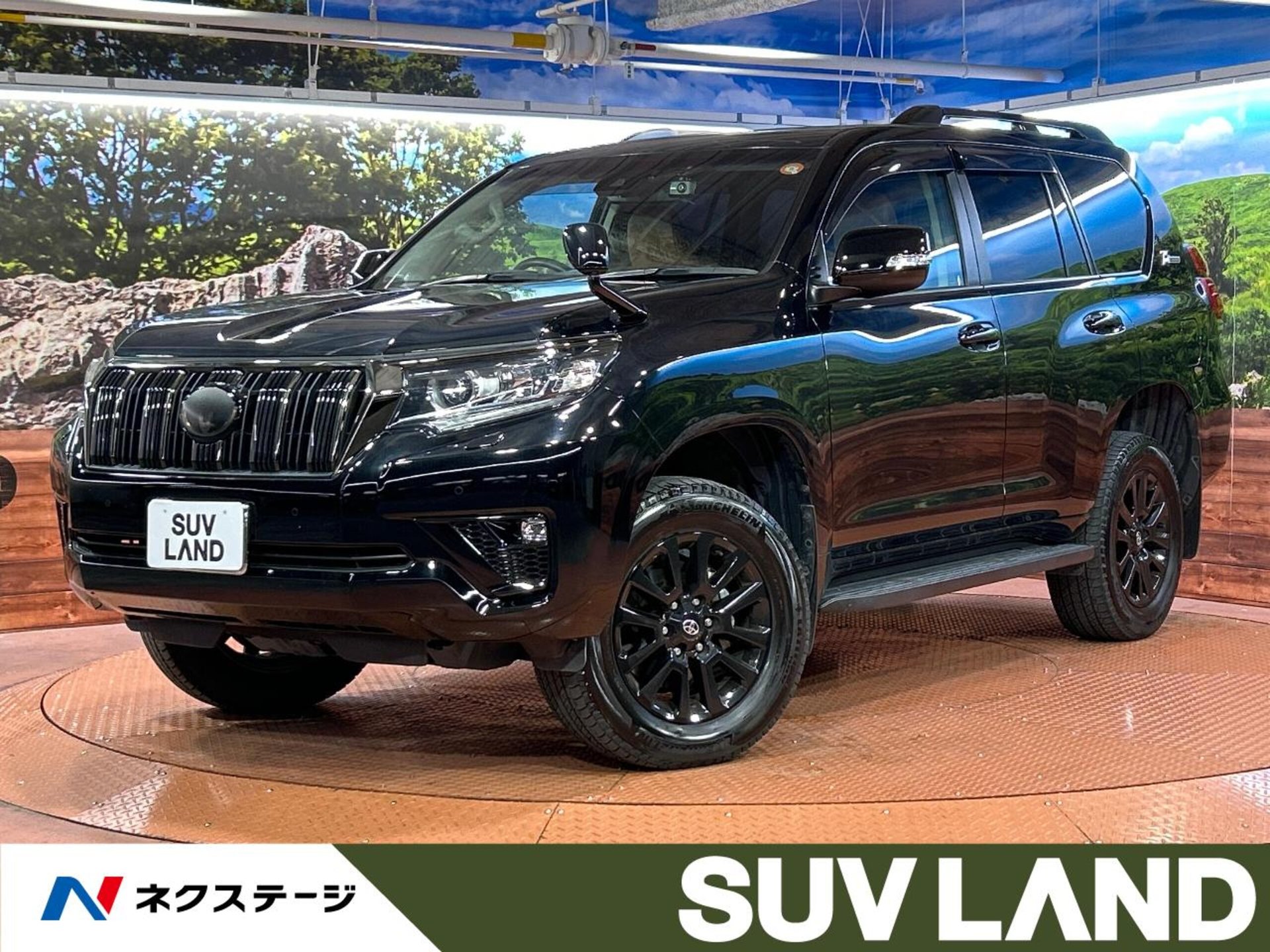 TOYOTA LAND CRUISER PRADO - View 1