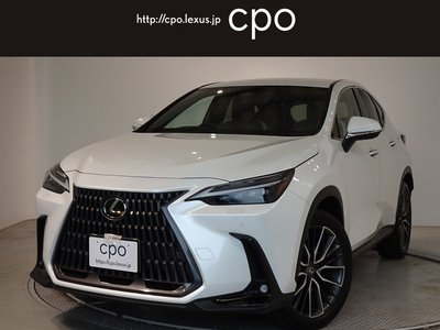 LEXUS NX - 1