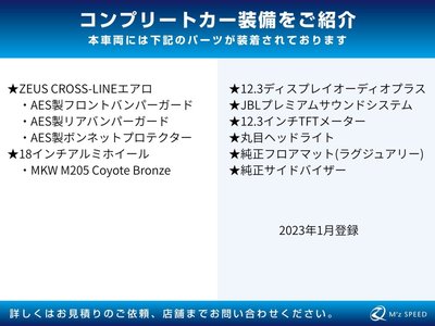 TOYOTA LAND CRUISER 250 - 3