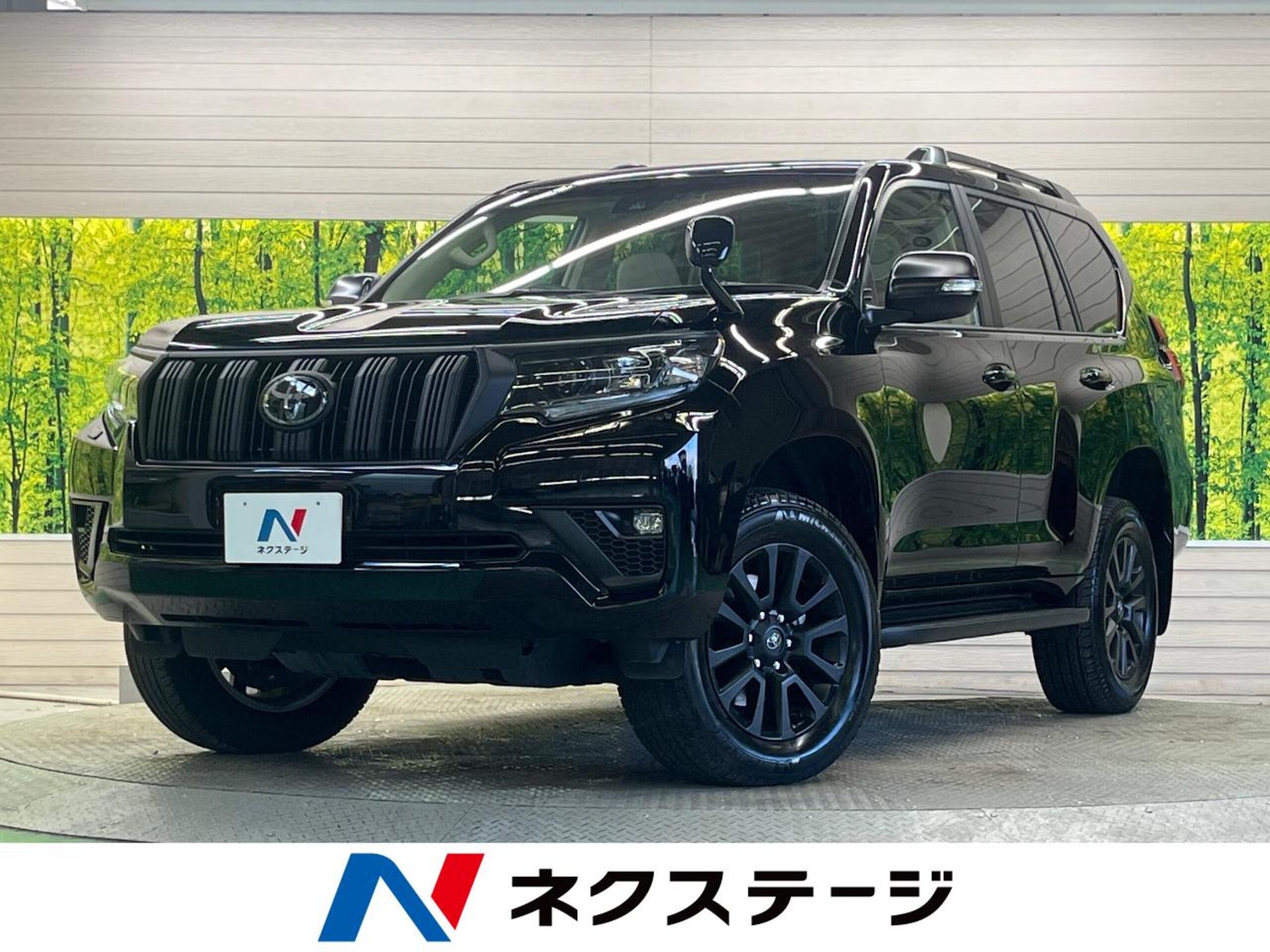 TOYOTA LAND CRUISER PRADO - View 1