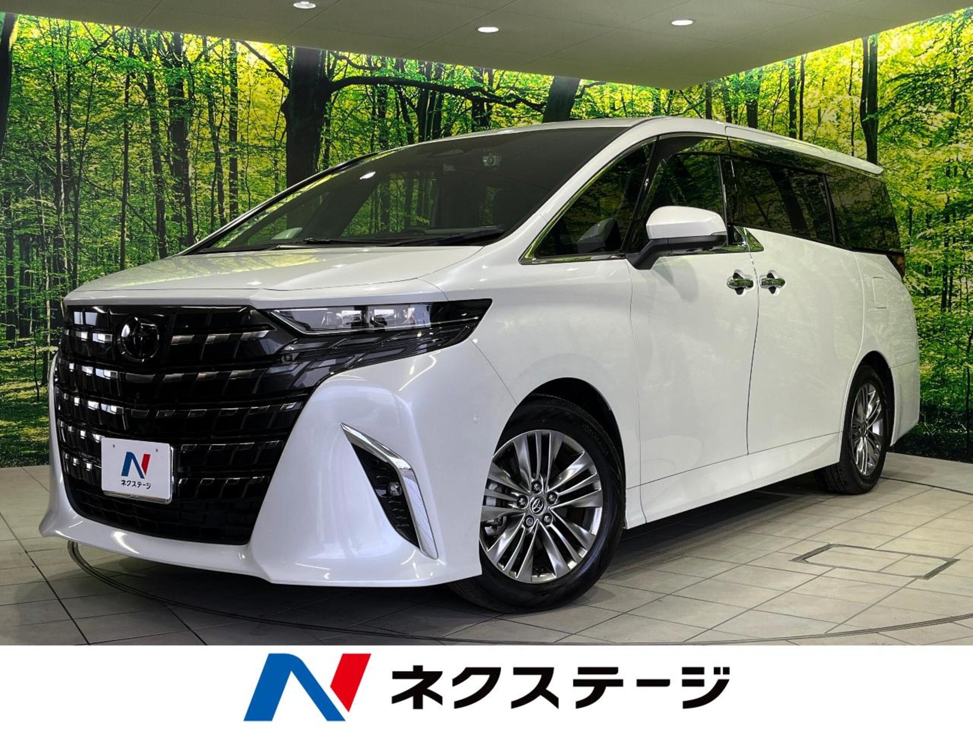 TOYOTA ALPHARD - View 1