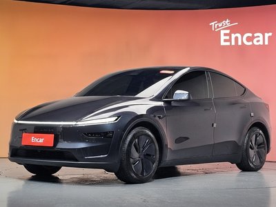 2025 Tesla MODEL Y — фото 1