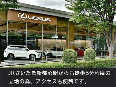 2023 Lexus RX 缩略图 24