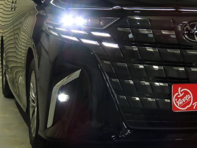 2025 Toyota ALPHARD 缩略图 14