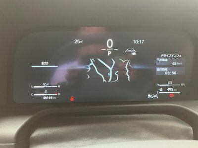2025 Lexus GX 缩略图 12