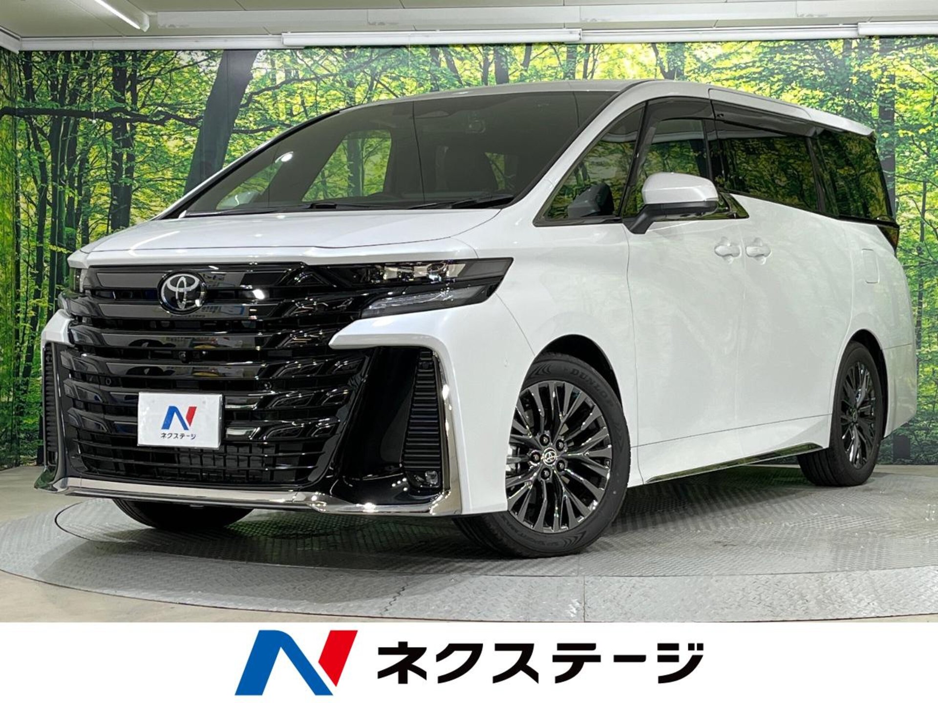 TOYOTA VELLFIRE - View 1