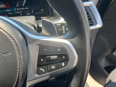 2024 BMW X7 缩略图 25