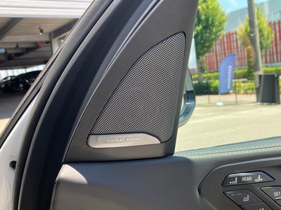 2024 BMW X7 缩略图 49