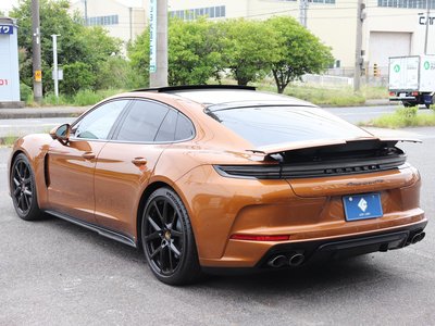 2025 Porsche PANAMERA — миниатюра 11