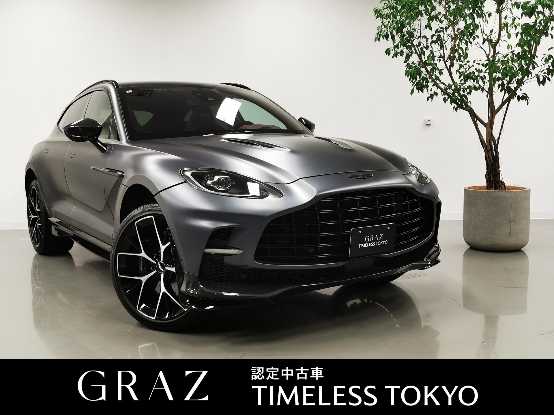 ASTON MARTIN DBX - View 1