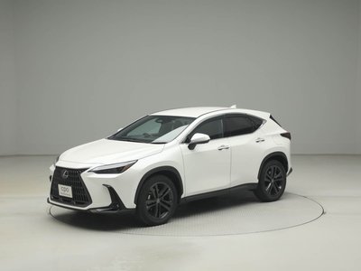 LEXUS NX - 6